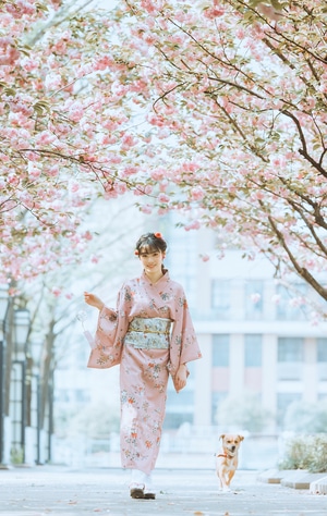 子彧-人像-写真-清新-和服 图片素材