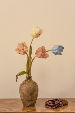 宅家-静物-花卉-花-郁金香 图片素材