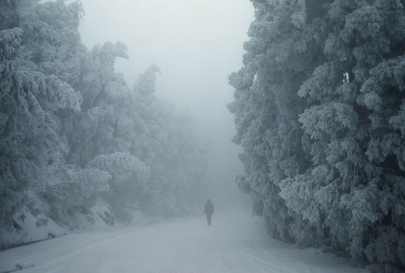 haida滤镜签约-冬天-冬季-冬-朦胧 图片素材