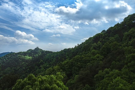 重庆沙坪坝区-风景-山-山峰-树 图片素材