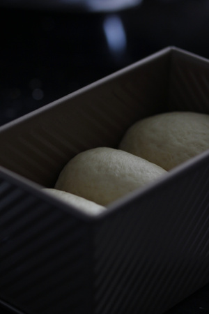 生活仪式感-美食汇-八月你好-图蓝丹-吐司面包 图片素材