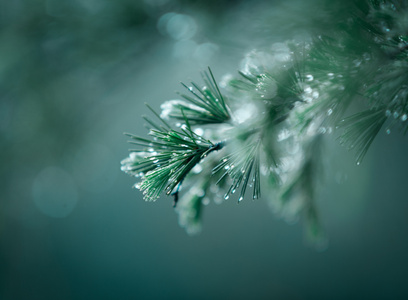 七工匠-阴雨天-雨一直下-大自然-雨滴 图片素材