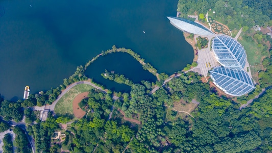 南京市-中山植物园-城市风景-建筑-生态环境美 图片素材