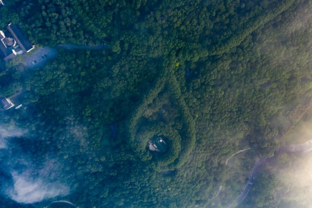 我的六月-夏天-航拍高视角-建筑-树林 图片素材