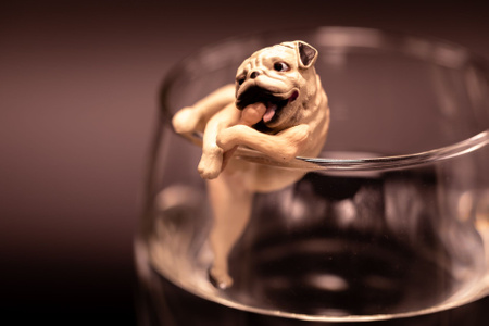 创意-犬偶-微距拍摄-酒杯-摄影棚 图片素材