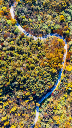 旅途-户外-秋季-山林-山间道路 图片素材