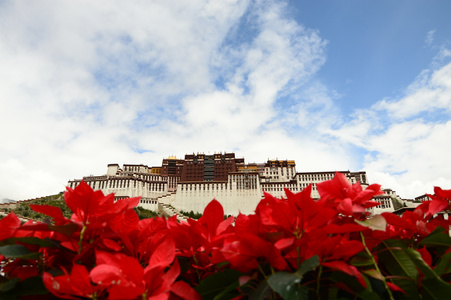 旅途-西藏-拉萨-布达拉宫-布达拉宫 图片素材
