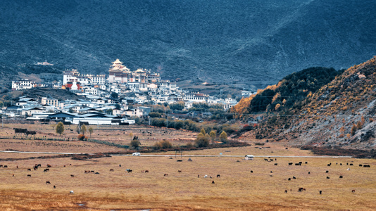迪庆藏族自治州-旅游-风景-风光-建筑 图片素材