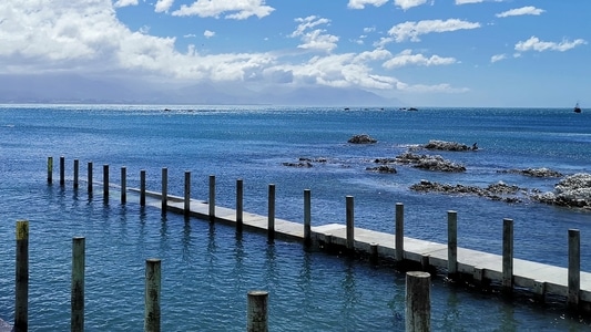 新西兰-海滩-春天-风景-海 图片素材