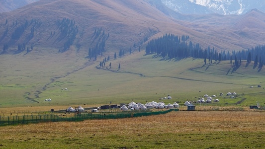 草原-牛羊-那拉提-风景-草地 图片素材