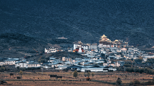 迪庆藏族自治州-旅游-建筑-房子-房屋 图片素材