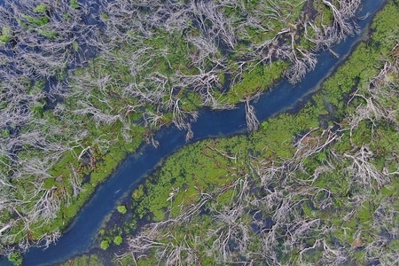 湿地-航拍-湿地-河-河流 图片素材