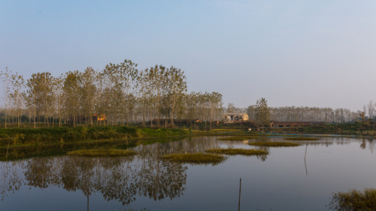 318-秋-树-风光-风景 图片素材