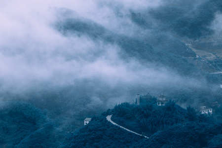 长宁县-风光-自然-薄雾-森林 图片素材
