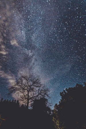 自然-风光-初秋-星空-植物 图片素材