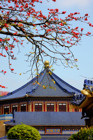 看、你的城市-风景-花卉-古建筑-塔楼 图片素材