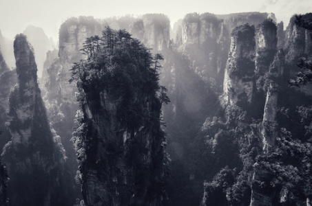 黑白-旅行-原创-风光-张家界 图片素材