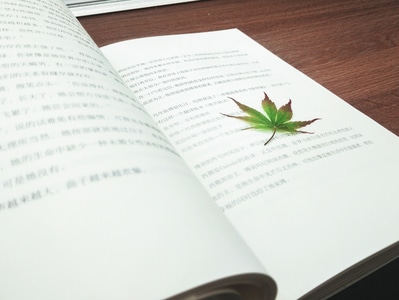 手机摄影-静物-书-干净-书 图片素材