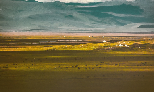 西藏-草原-牛羊-帐篷-高山 图片素材