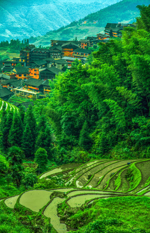 梯田-农田-村庄-壮族-龙脊 图片素材