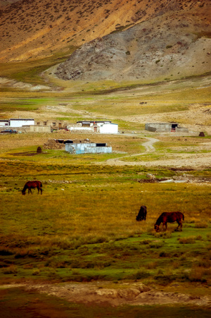 沿途风光-色彩-山谷-西藏-马 图片素材