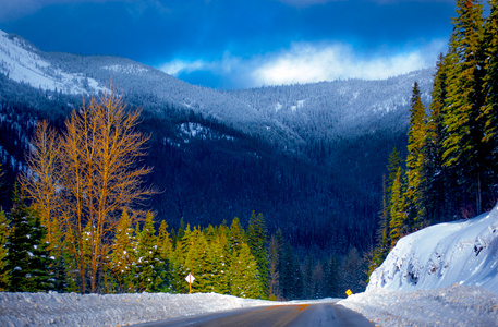 雪世界-加拿大-冬-路-自然 图片素材