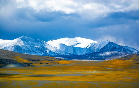 阿里-高山-雪山-草原-自然 图片素材