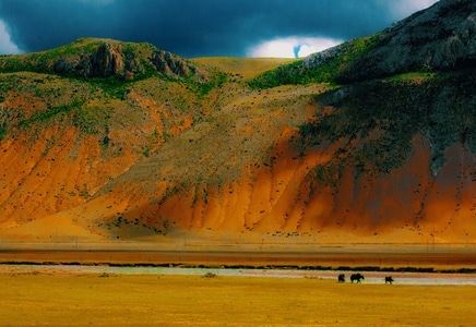 高山-草原-牧场-自然-风光 图片素材