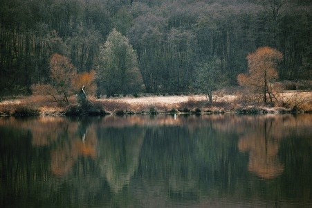 温哥华-晚秋-湖畔-风景-湖 图片素材