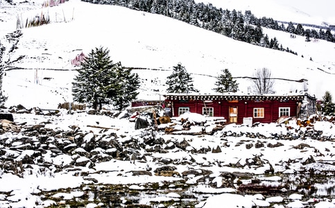 西藏-雪-冬天-房子-房屋 图片素材