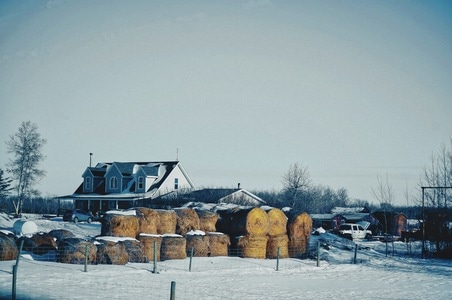 北半球-农场-农场-村庄-房屋 图片素材