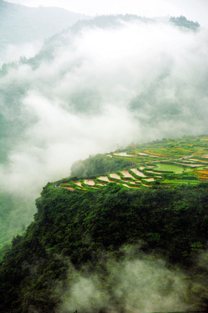 梯田-雾-高山-阿布bree-风景 图片素材