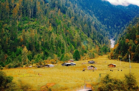 7日打卡挑战-山-村-风景-草地 图片素材