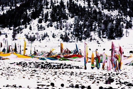 西藏-雪-冬-经幡-经幡 图片素材