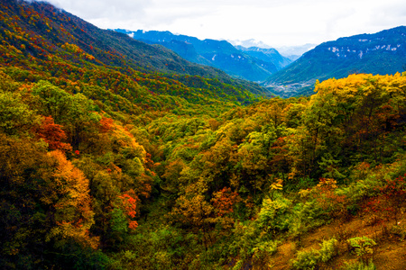 秋-神农架-山谷-风光-风景 图片素材