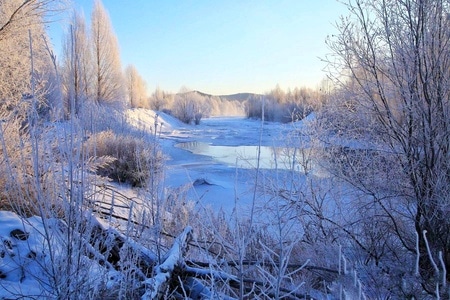 北国风光-雾凇-冬-雪景-自然 图片素材