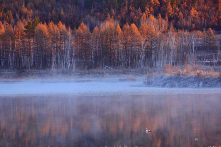 晨雾-金水湖-深秋-自然-色彩 图片素材
