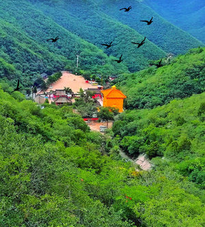 深山-绿意-古寺-旅游-辽宁 图片素材