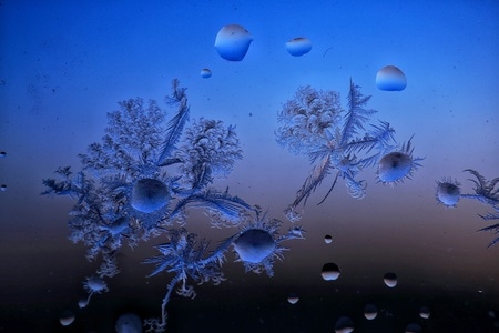 冰窗花-窗-冬-自然之声-冰花 图片素材