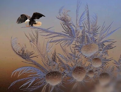 北国风光-大兴安岭-冬天-冰窗花-自然 图片素材