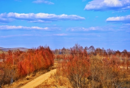 春天-北国风光-大兴安岭-自然-四月 图片素材