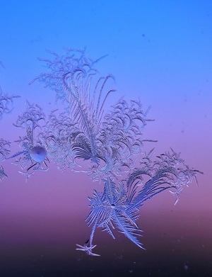 北国风光-大兴安岭-自然-冰窗花-冬天 图片素材