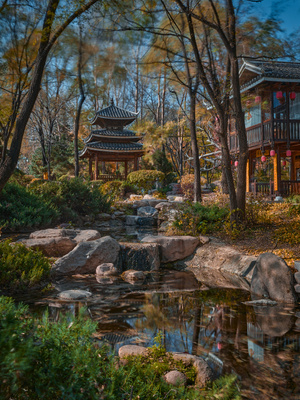 沈阳-中画幅-飞思-风景-园林 图片素材