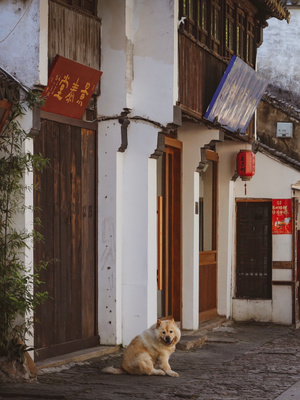 in摄汇-旅行-城市-自然-建筑 图片素材