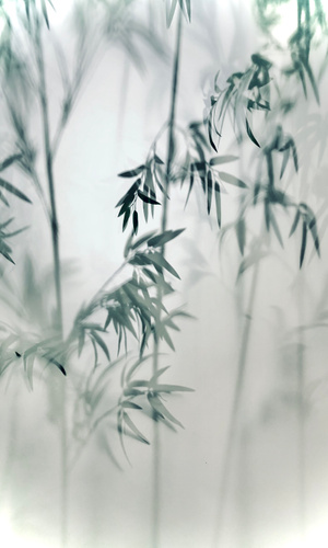 简约之美-我要上封面-简约-环境-记录 图片素材