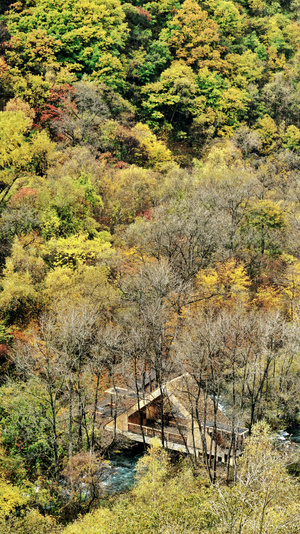 秋色-阿坝州-藏区-川西-风光 图片素材