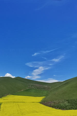蓝调世界-草原风光-海北藏族自治州-简约之美-旅拍 图片素材