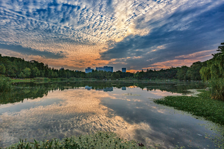 浣花溪公园-朝霞-成都-风景-浣花溪公园 图片素材