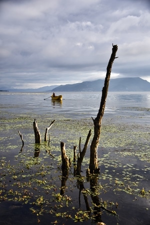 云南大理-你好2020-洱海-生态摄影-纪实 图片素材