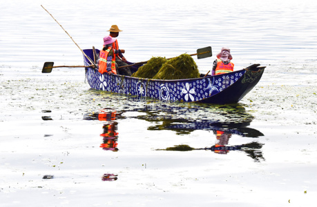洱海-纪实-haida滤镜签约-云南大理-生态摄影 图片素材